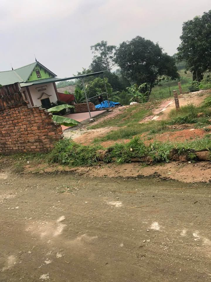 Đất nền An Hòa, Tam Dương 127m² giá chỉ 500 triệu - Cơ hội đầu tư tuyệt vời!