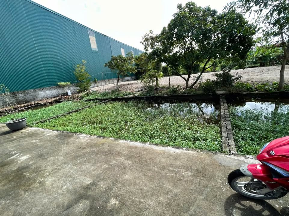 Đất nền Hồng Vân, Thường Tín, Hà Nội 40.1m² giá 2.55 tỷ - Đường rộng ô tô tránh nhau!