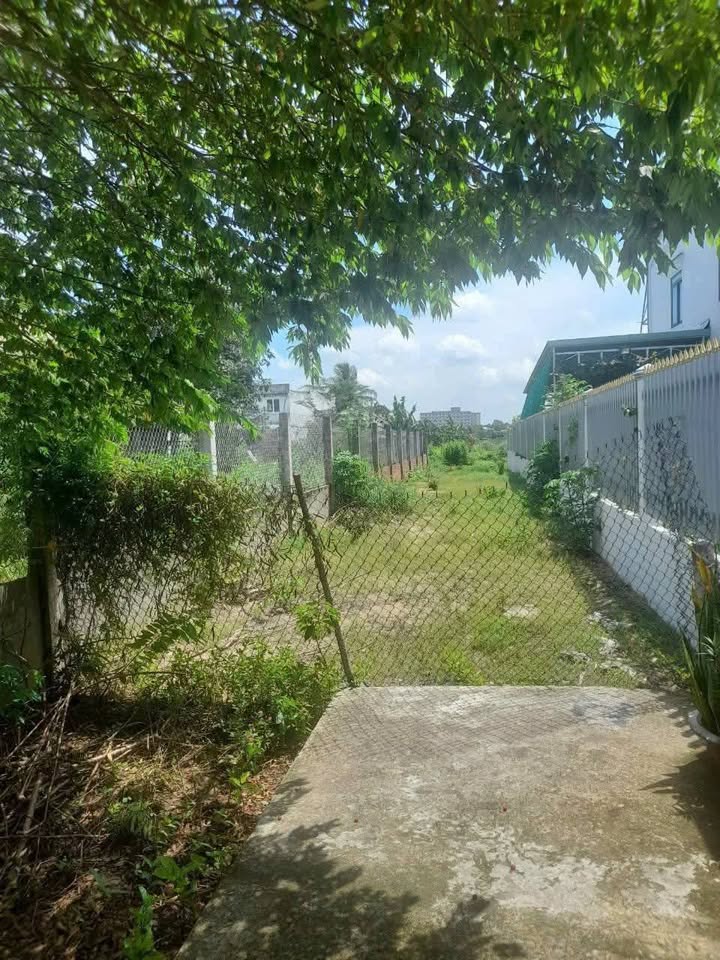 Đất nền 1300m² tại Phường 3, Tân An - Giá chỉ 11 tỷ, thương lượng!