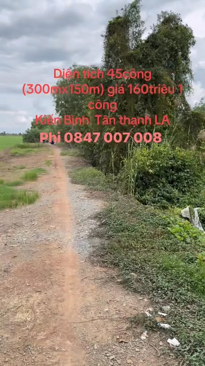 Đất nông nghiệp 45 công tại Kiến Bình, Tân Thạnh - Giá chỉ 7.2 tỷ!