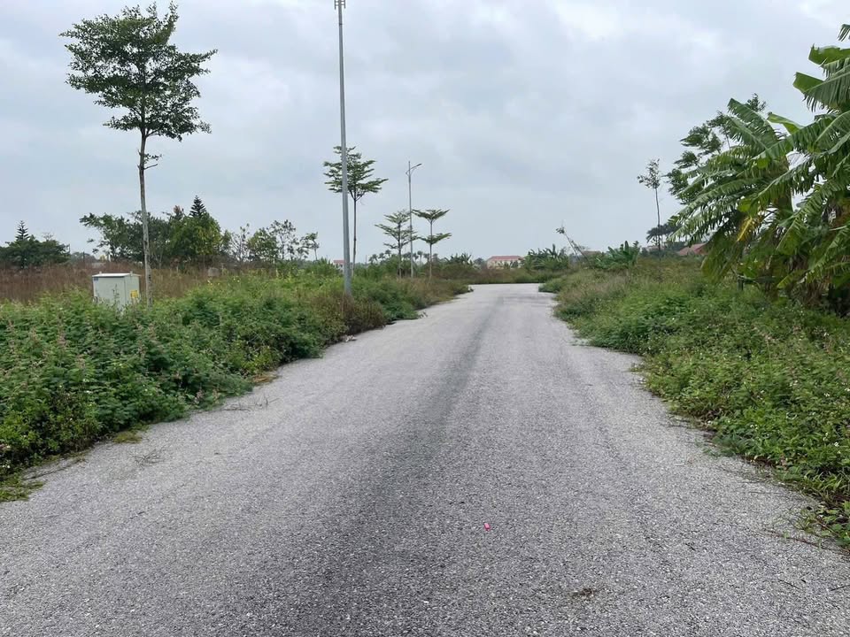 Đất nền Quảng Thọ Sầm Sơn 120m² giá chỉ 1 tỷ - Cơ hội đầu tư tốt!