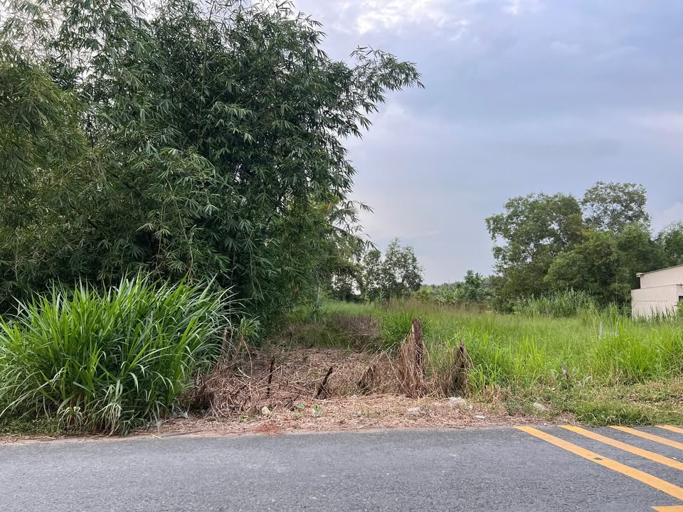 Đất nền 140m² tại đường Tỉnh lộ 911, Trà Vinh - Giá chỉ 450 triệu, thương lượng tốt!