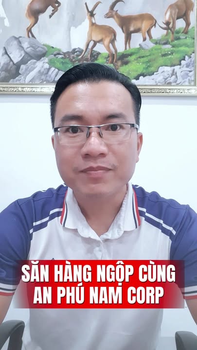 Đất nền mặt tiền Quốc Lộ 55 Thắng Hải 300m² giá 1.8 tỷ - Đầu tư lý tưởng!