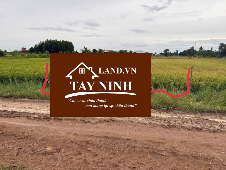 Đất nền Phước Bình Dương Minh Châu 408m² giá 399 triệu - Sổ đỏ chính chủ, công chứng ngay!