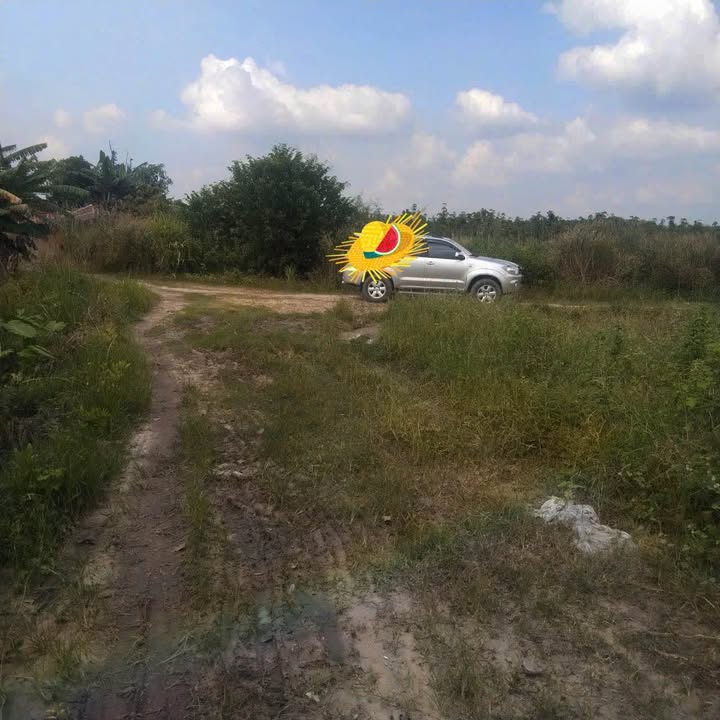 Đất nền Tân Phong - Tân Biên 175m² giá chỉ 85 triệu - Cơ hội đầu tư tuyệt vời!