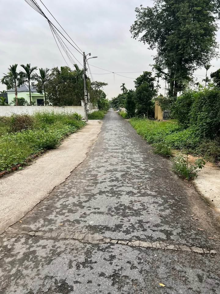 Đất nền Dương Kinh Hải Phòng 52m² giá chỉ 1 tỷ - Cơ hội đầu tư hấp dẫn!