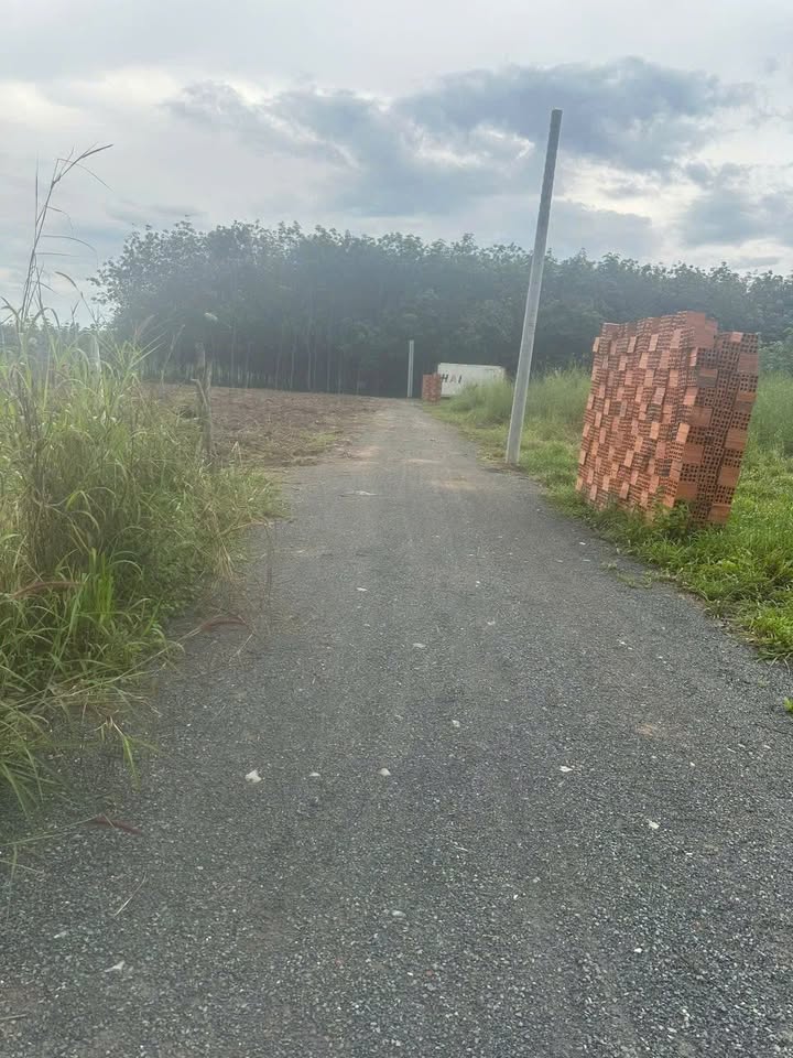 Đất nền thổ cư Chánh Phú Hòa Bến Cát 115m² giá 980 triệu - Cơ hội đầu tư tuyệt vời!