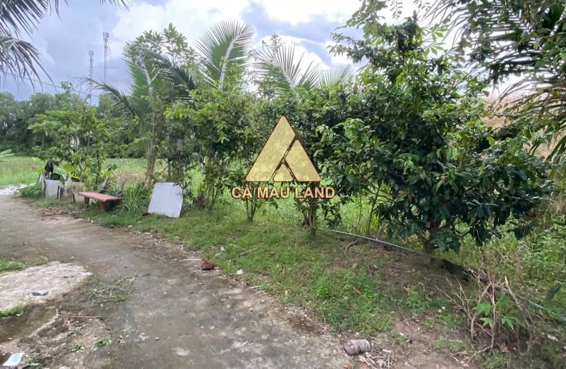 Đất nền An Xuyên Cà Mau 421.5m² giá 630 triệu - Cơ hội đầu tư tuyệt vời!