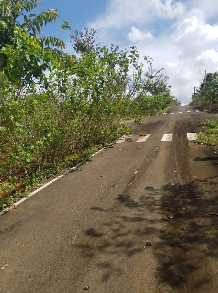 Đất nền Lộc An Bảo Lâm 248m² giá 850 triệu - Cơ hội đầu tư hấp dẫn!