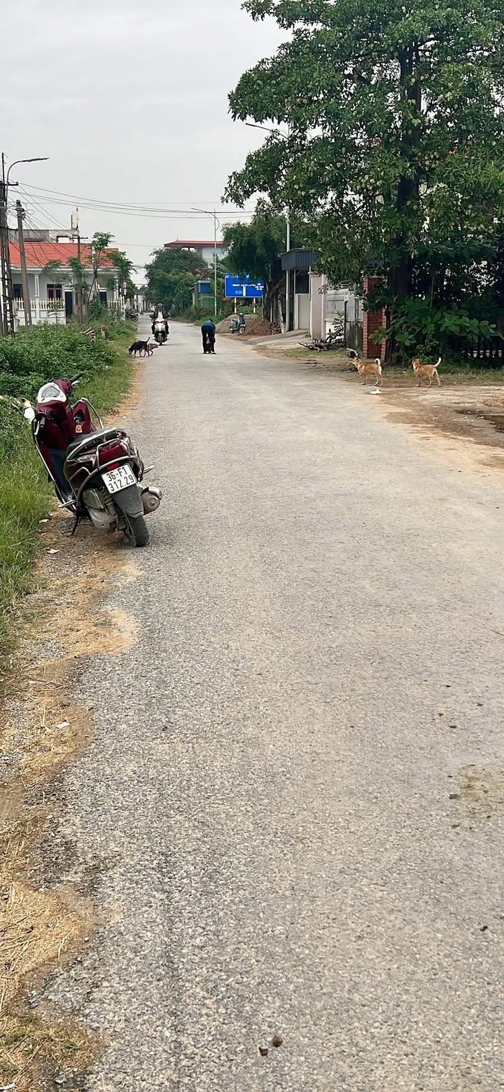 Đất nền Đa Lộc Hậu Lộc 188m² giá 1.6 tỷ - Mặt tiền 8.2m, hướng Đông