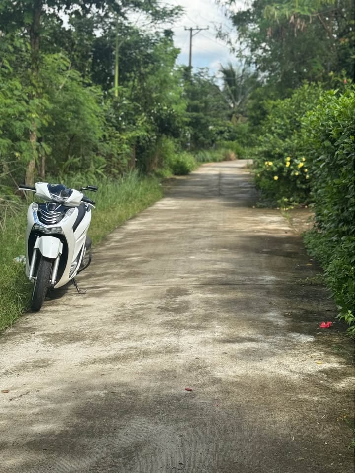 Đất nền Tân Phú 1044m² giá chỉ 650 triệu - Cơ hội đầu tư sinh lời!