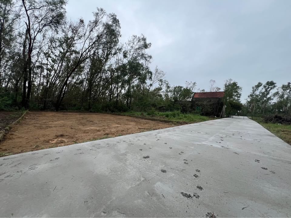 Đất Nghi Hương 160m² giá 1.7 tỷ - Đường Lê Thánh Tông, Cơ hội đầu tư tuyệt vời!