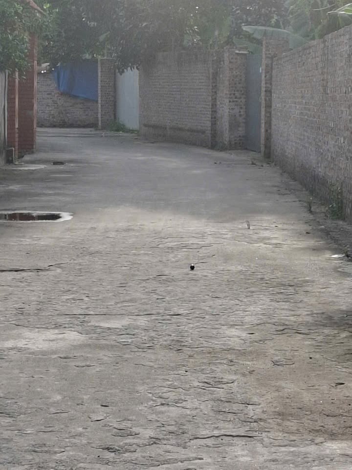 Đất nền Mai Đình 90m² giá thỏa thuận - Mặt tiền đường ô tô tránh, tiềm năng kinh doanh cao!