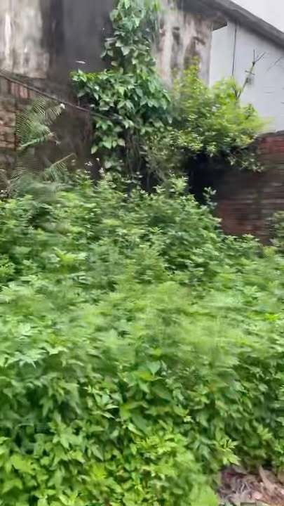 Đất nền Hồng Kỳ, Đông Anh 110m² giá 2 tỷ - Cơ hội đầu tư hấp dẫn!