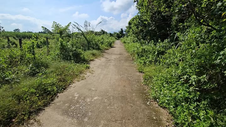 Đất vườn Diên Đồng 632m² giá 499 triệu - Đầu tư sinh lời ngay!