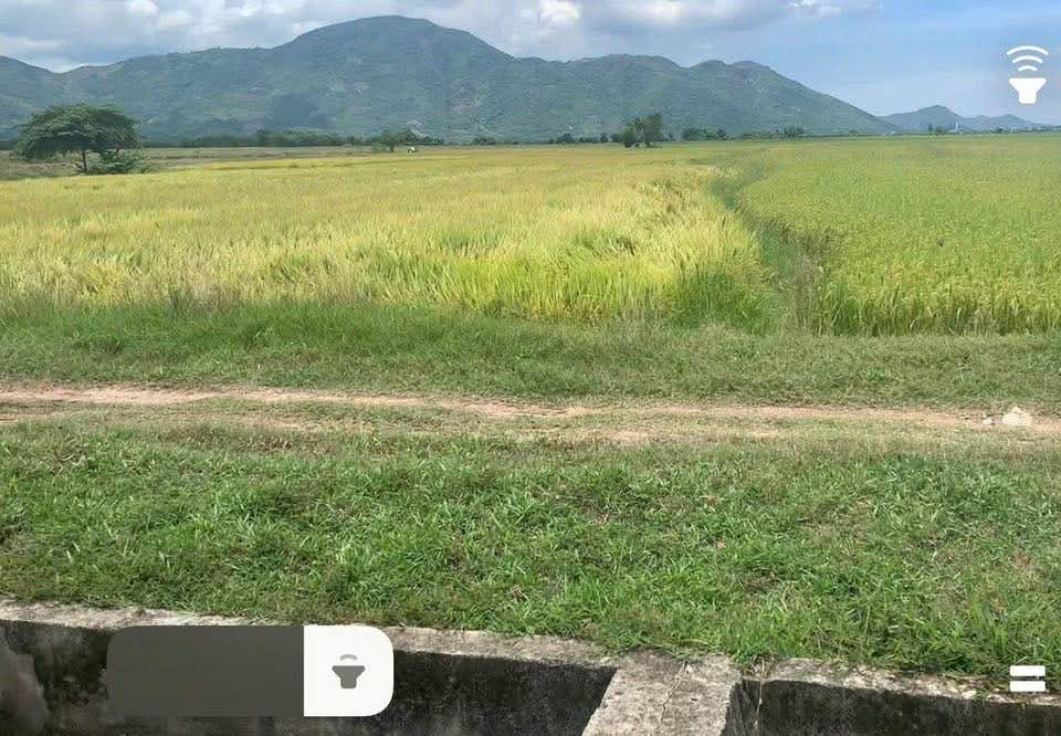 Đất nền Diên Sơn, Diên Khánh 768m² chỉ 139 triệu - Cơ hội đầu tư hấp dẫn!