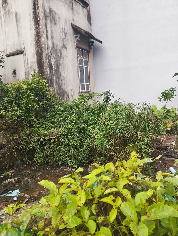 Bán đất đẹp ngõ 35 Thượng Phúc, Tả Thanh Oai 30m² giá 3.45 tỷ - Sổ đỏ chính chủ!