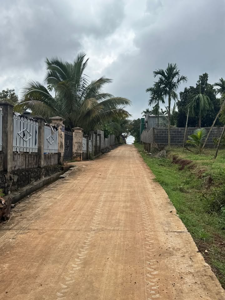 Đất nền Cư Bao, Buôn Hồ 141m² giá 8.736 tỷ - Vị trí thuận lợi cách sân bóng chỉ 100m!