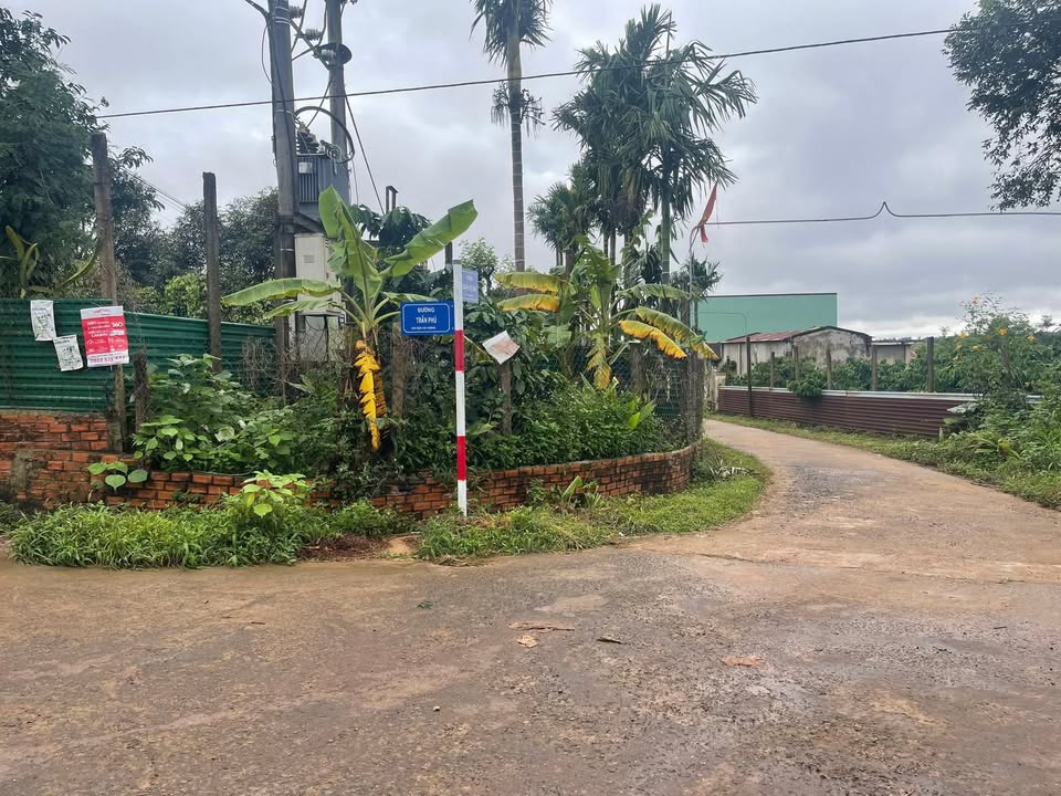 Đất thổ cư 2 mặt tiền Trần Phú, 300m² giá 1.6 tỷ - Cơ hội đầu tư hiếm có!