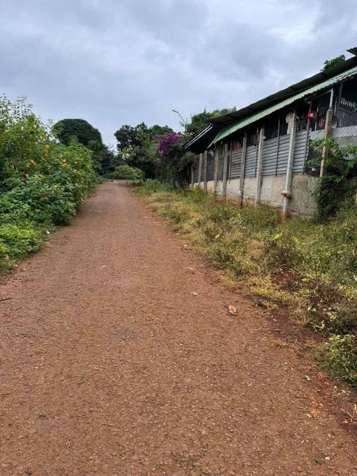 Đất thổ cư 210m² tại xã Tân Lập, Buôn Ma Thuột - Giá chỉ 355 triệu!