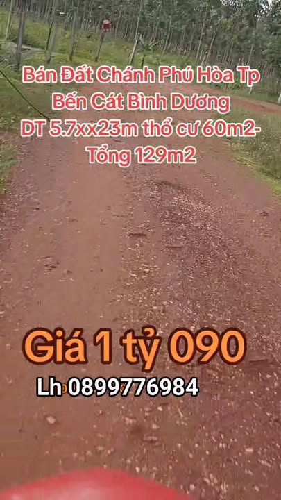Đất nền Chánh Phú Hòa, Bến Cát 129m² chỉ 1.09 tỷ - Cơ hội đầu tư tuyệt vời!