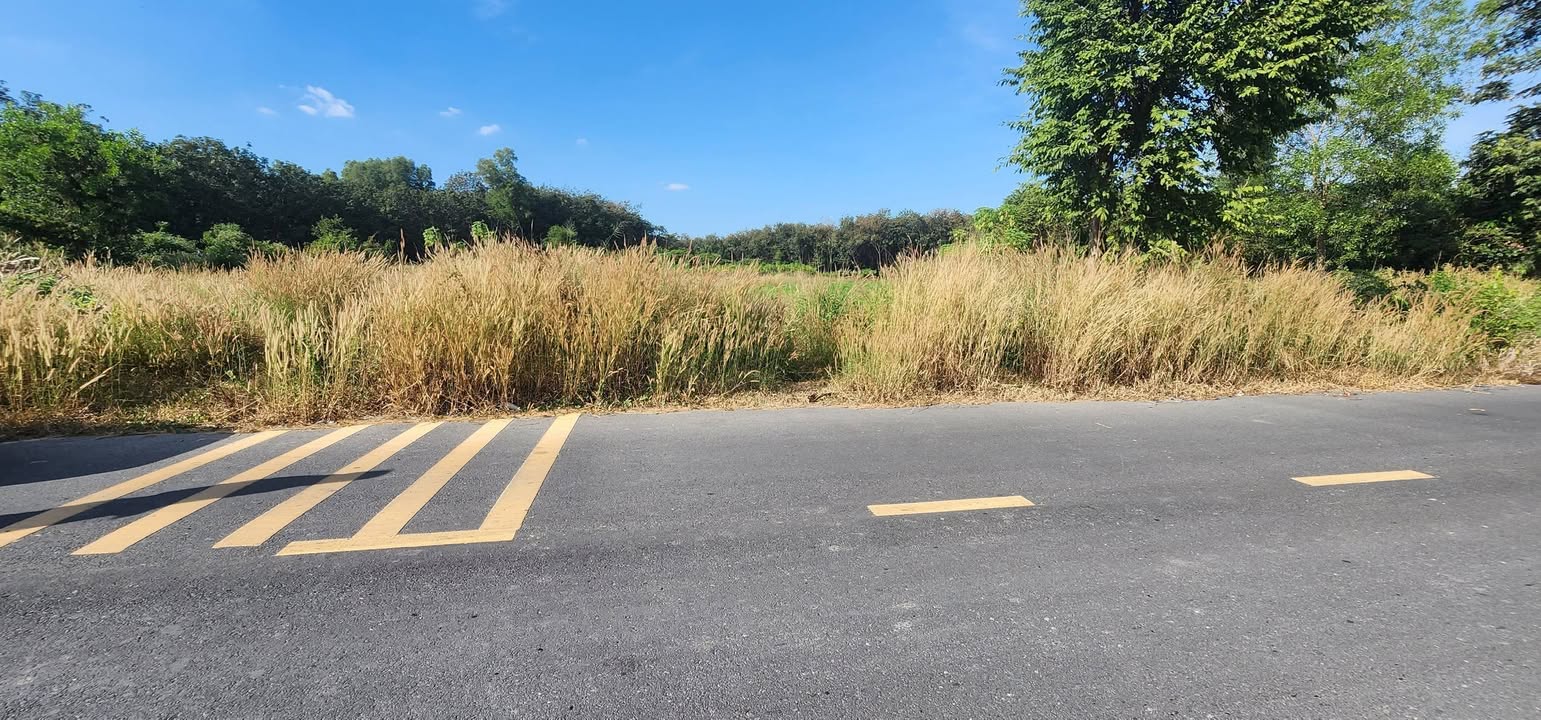 Đất Tân Hiệp, Tân Uyên 3.389m² giá 5,2 triệu/m² - Đầu tư kho xưởng sinh lợi!