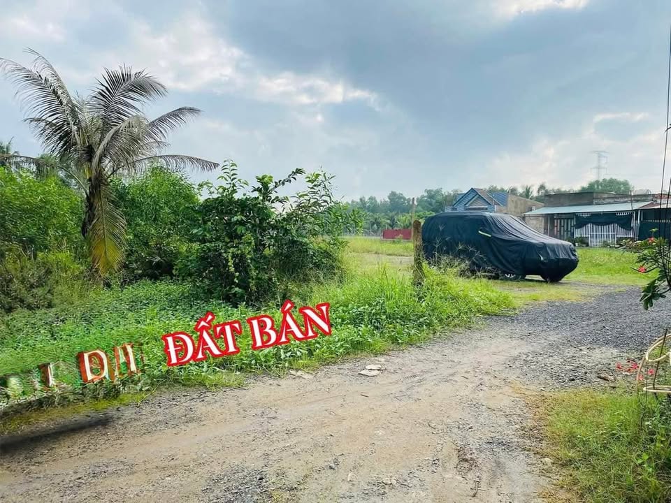 Đất thổ cư 1.000m² Ấp 1B, An Thạnh, Bến Lức - Giá chỉ 1.5 tỷ, cơ hội đầu tư tốt!