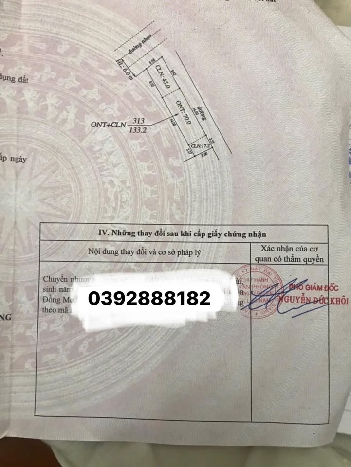 Đất 2 mặt tiền Cương Sơn Lục Nam 130m² giá 1 tỷ - Đầu tư sinh lời ngay!