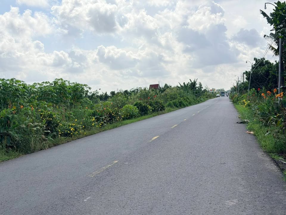 Đất nền Tân Thành, Bình Tân 300m² giá 679 triệu - Đầu tư sinh lời ngay!