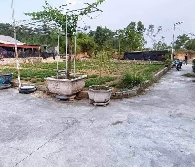 Đất nền đẹp Ngọc Xá, 90m² giá 1.15 tỷ - Đầu tư sinh lời ngay!