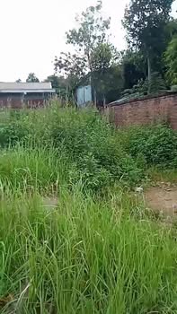 Đất nền Tỉnh lộ 316, Thanh Sơn, Phú Thọ 172m² giá 2 tỷ - Đầu tư sinh lời ngay!