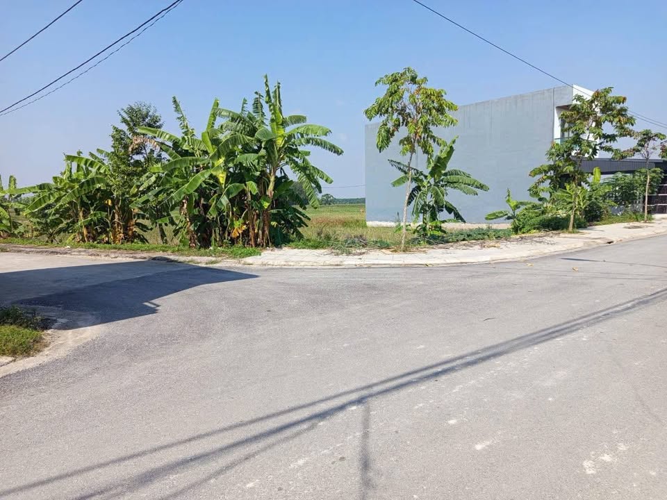 Đất nền 2 mặt tiền xã Quang Vinh, Đông Sơn, Thanh Hóa 187.5m² - Giá chỉ 2.73 tỷ