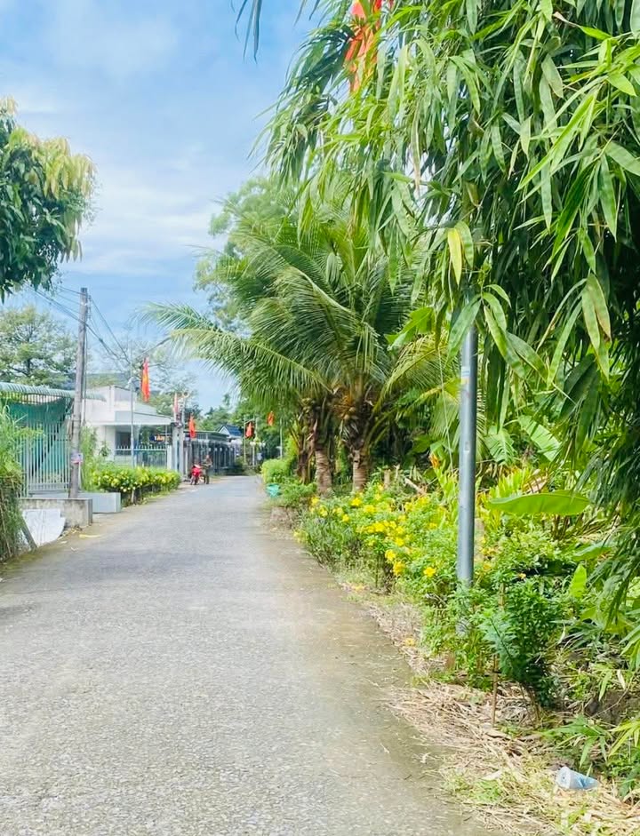 Đất nền Nhơn Ái Phong Điền 312m² - Giá siêu rẻ, đầu tư sinh lời!