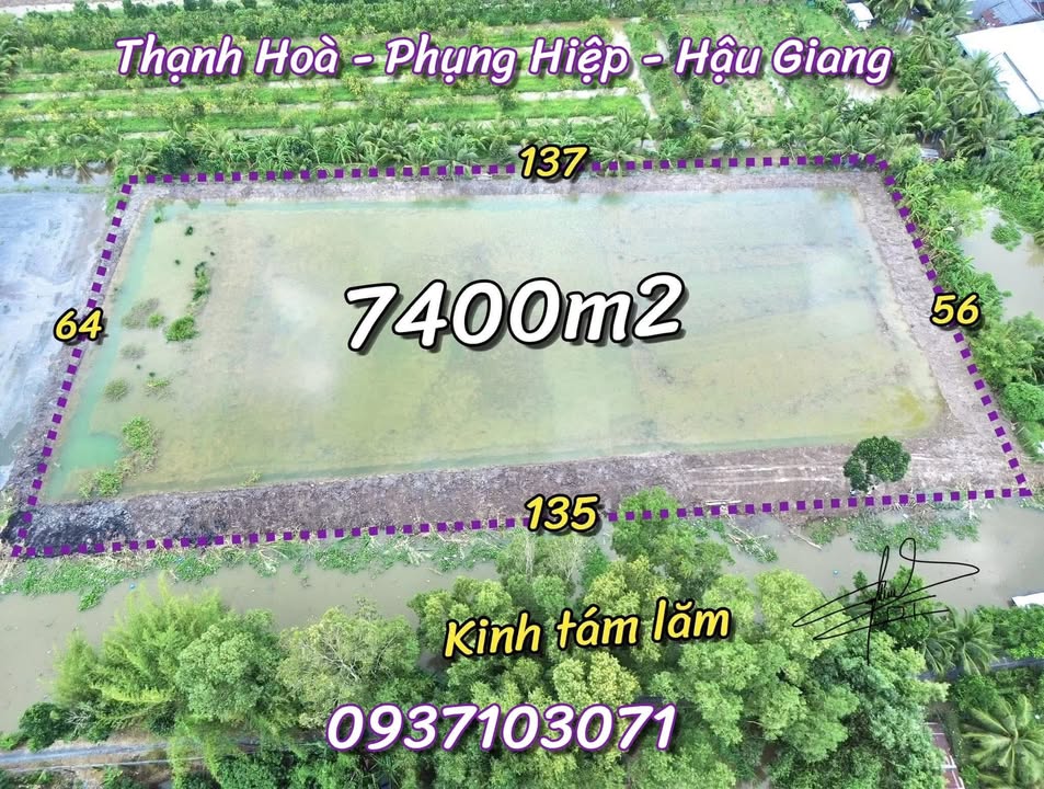 Đất mặt tiền lớn 7400m² xã Thạnh Hoà, Cần Thơ - Giá chỉ 1.85 tỷ!