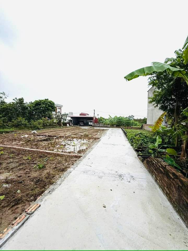 Đất ở Hoàn Long, Hưng Yên 67,5m² giá 1,6 tỷ - Đầu tư sinh lời hấp dẫn!