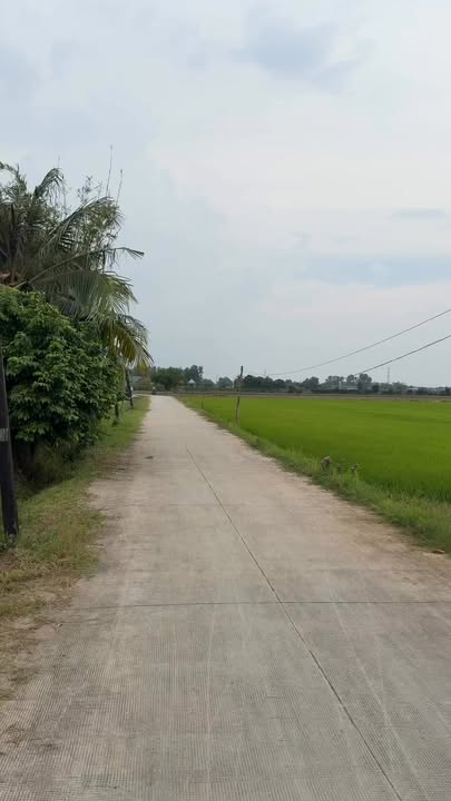 Đất thổ cư mặt tiền đường bê tông 150m² tại xã Tân Mỹ - Sổ hồng riêng, giá chỉ 800 triệu!