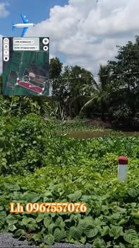 Đất nông nghiệp Gò Dầu Tây Ninh 80.000m² giá 25.6 tỷ - Đầu tư sinh lời hấp dẫn!