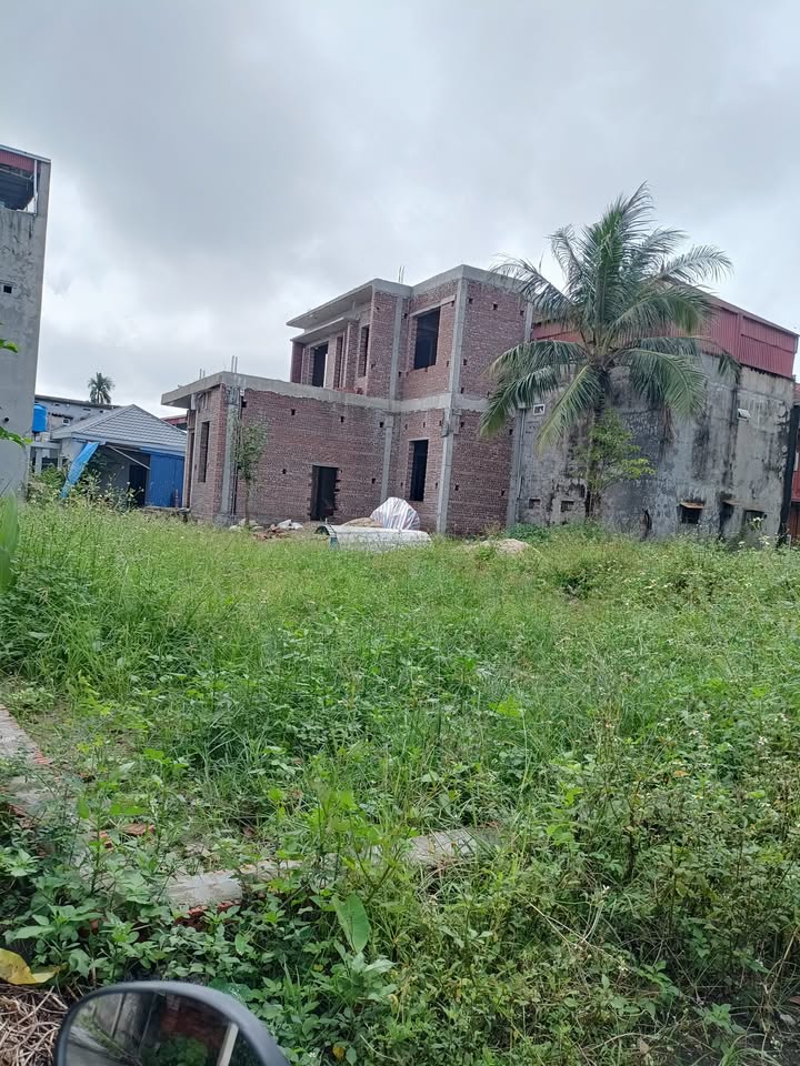 Đất nền Tiên Lãng Hải Phòng 80m² giá 1.15 tỷ - Cơ hội đầu tư không thể bỏ lỡ!