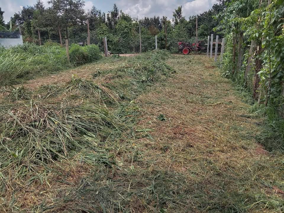 Đất thổ cư 140m² tại Buôn Hồ giá chỉ 855 triệu - Cơ hội đầu tư tuyệt vời!