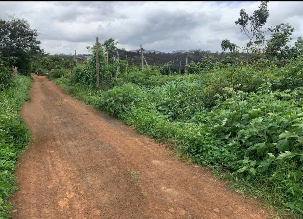 Đất nền 2 mặt tiền Hoàng Quốc Việt 600m² giá 1,399 tỷ - Đầu tư sinh lời!