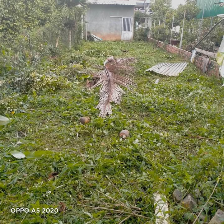 Đất thổ cư Đinh Tiên Hoàng, Đăk Mil 180m² giá 350 triệu - Bán gấp, ki ốt nhỏ sẵn có!