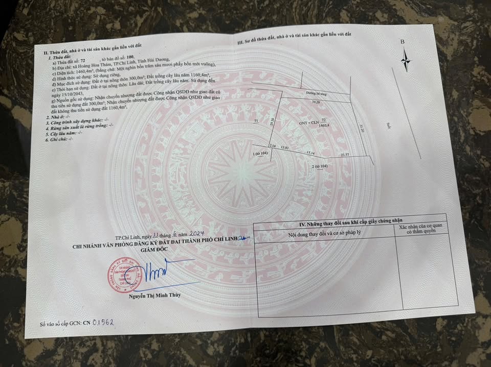 Đất farm rộng 1460m² tại Hoàng Hoa Thám, Chí Linh - Không khí trong lành, giá chỉ 2 tỷ!