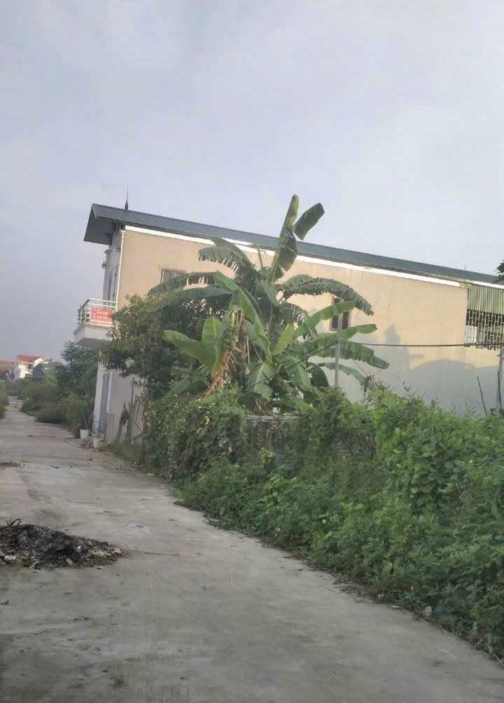 Đất đấu giá Đắc Sở Hoài Đức 197m² giá 5.9 tỷ - Gần đường lớn, xe ô tô tránh nhau!