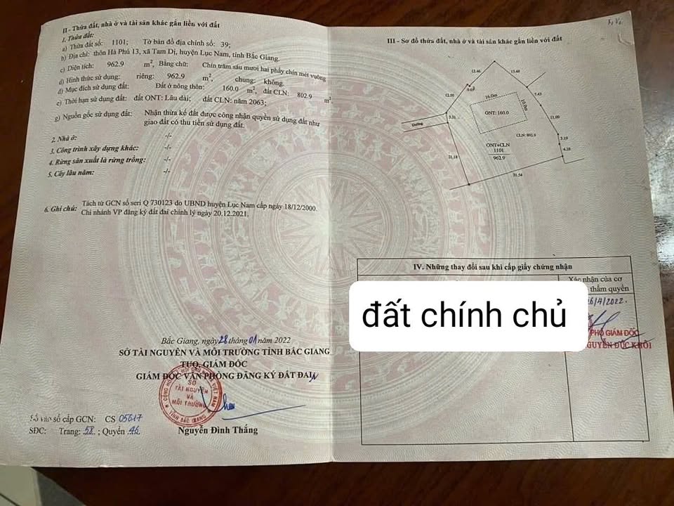 Đất thổ cư Tam Dị Lục Nam 926.9m² giá 1 tỷ - Cơ hội đầu tư tuyệt vời!