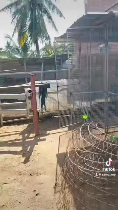 Bán đất hẻm đường Nguyễn Xuyển, quận 9, 90m² - Giá chỉ 850 triệu!