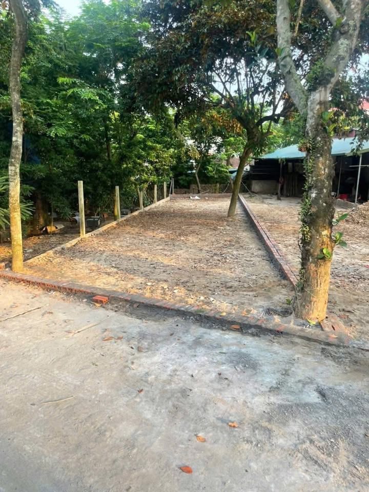 Đất nền Xã Phong Vân 237m² giá 1 tỷ - Cơ hội đầu tư hấp dẫn!