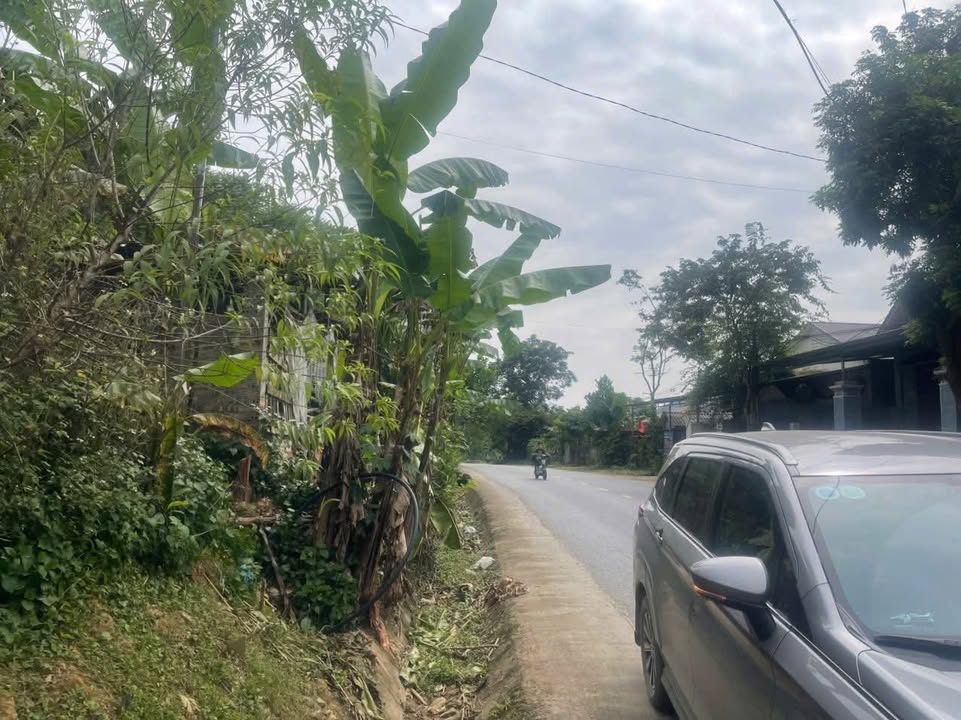 Đất thổ cư Tân Sơn, Phú Thọ 300m² - Sổ đỏ chính chủ, mặt đường quốc lộ 32