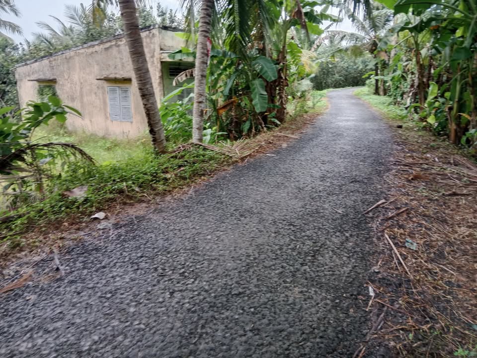 Đất nền thổ cư 125m² xã Bình Phước giá 295 triệu - Nhanh tay sở hữu!