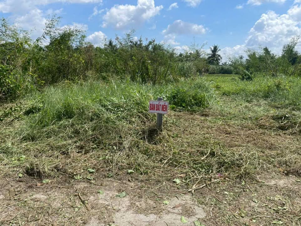 Đất nền Thạnh Lộc, Châu Thành 77m² giá 450 triệu - Cơ hội đầu tư tuyệt vời!