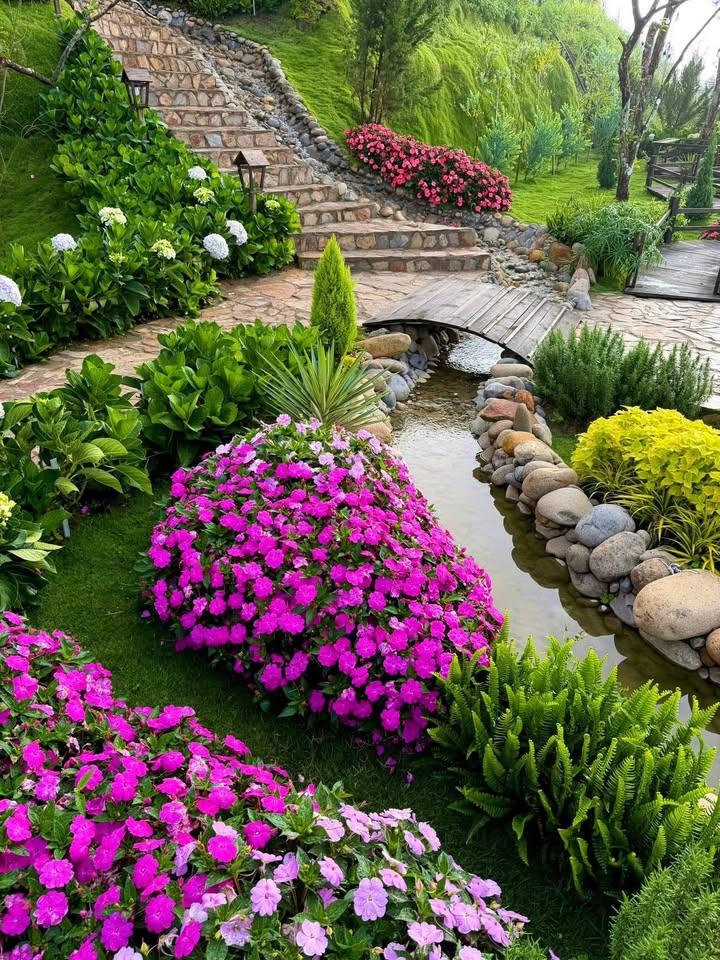 Cho thuê tòa căn hộ Phạm Văn Đồng, Sơn Trà, Đà Nẵng - Gần biển chỉ 400m!